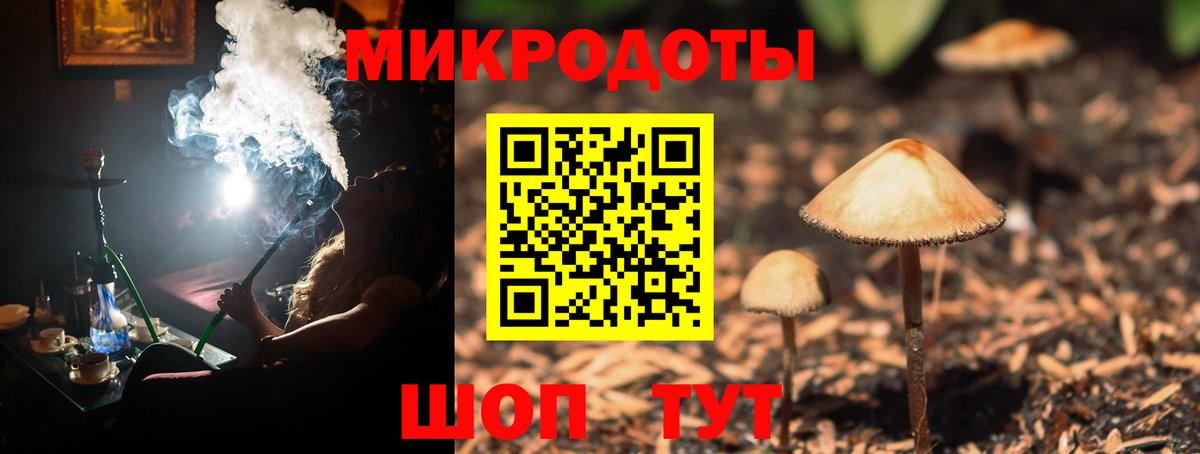 Галлюциногенные грибы мицелий  Вход с VPN  Малоярославец 